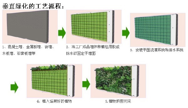 香港内部最准资料中特